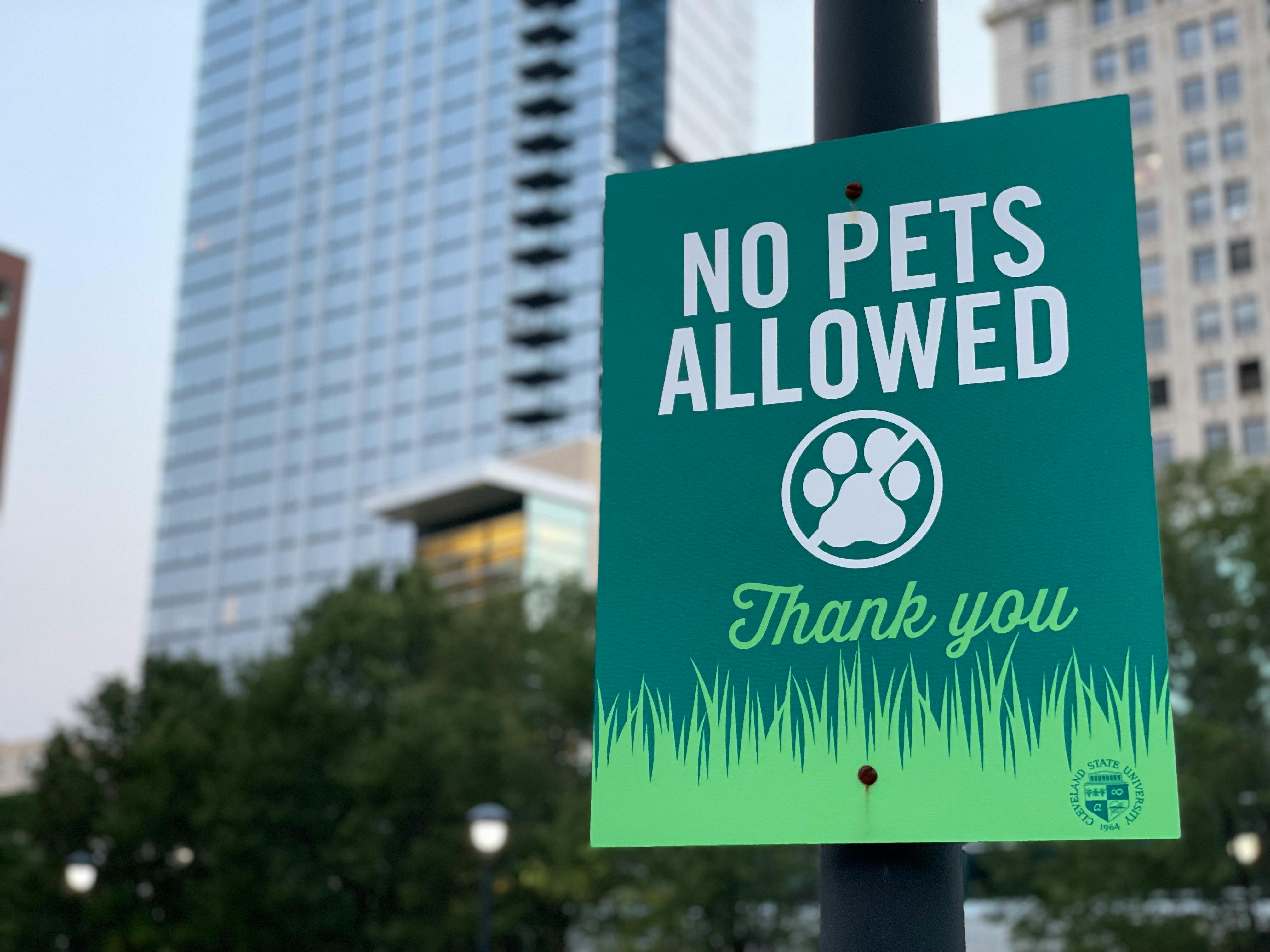 Pet-Free rental